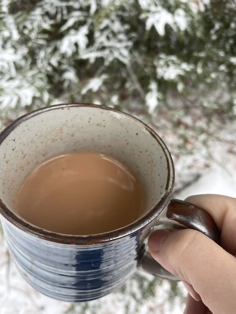 Kapha season winter chai recipe 