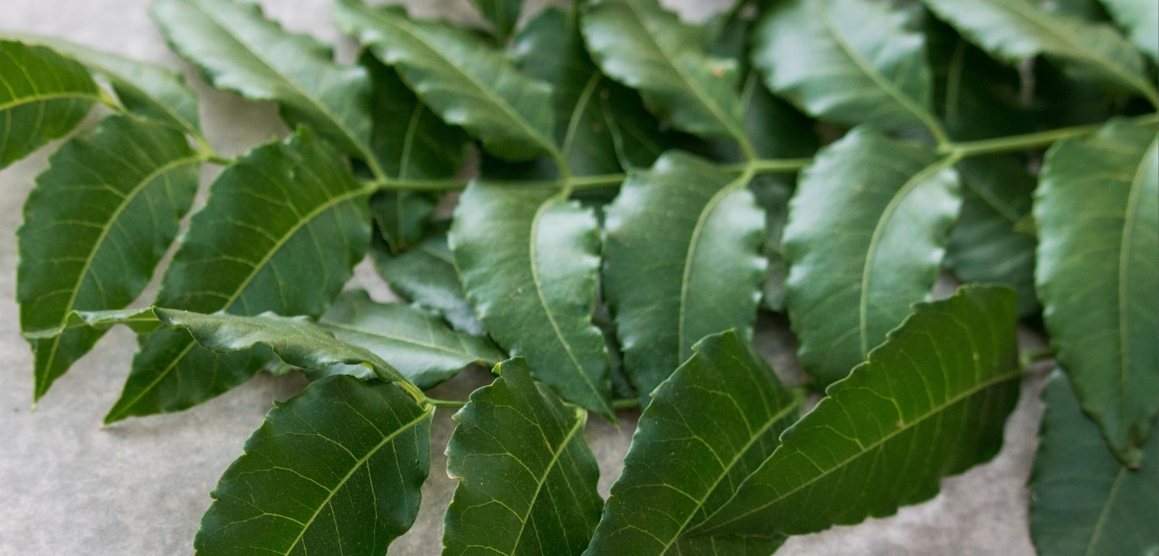 Featured image for “Soothing neem face mask for healing acne and irritated skin”