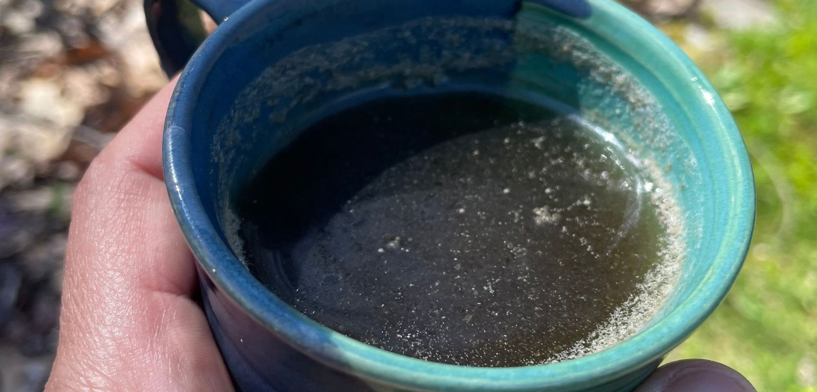 Featured image for “Sage gargle for strep and immunity”