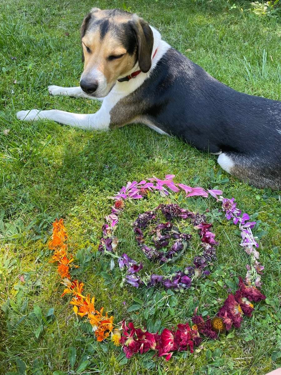 Building a floral carpet, a spiral pattern ritual with flower petals