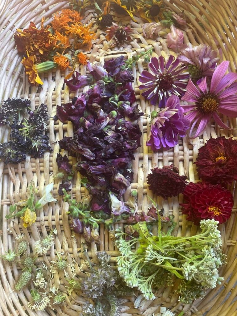 Building a floral carpet, a spiral pattern ritual with flower petals
